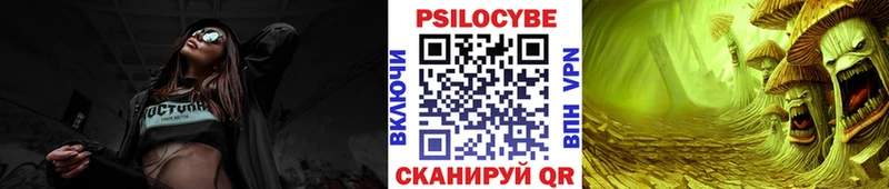 Псилоцибиновые грибы Psilocybe Абаза